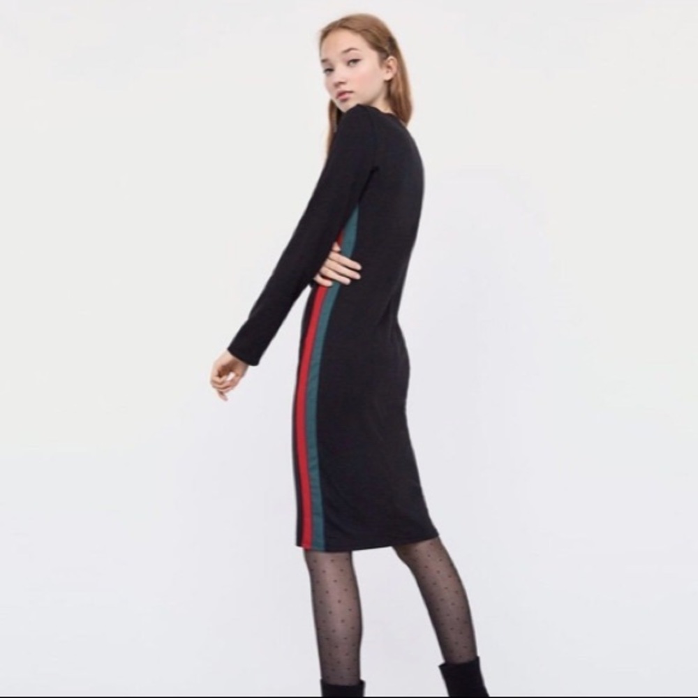 Zara fitted long sleeve dress.